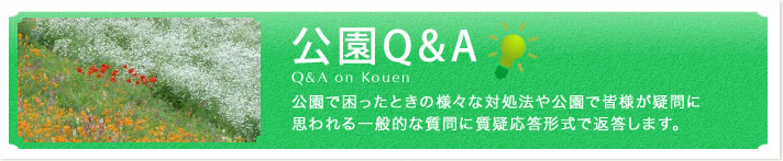 公園Q&A 　ロゴ