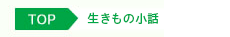 生きもの小話パンくず