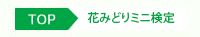 花みどりミニ検定パンくず