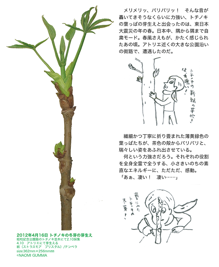 葉画家・群馬直美さんのアートコラム 第1回イメージ1