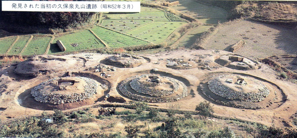 発見された当初の久保泉丸山遺跡　（昭和52年3月）