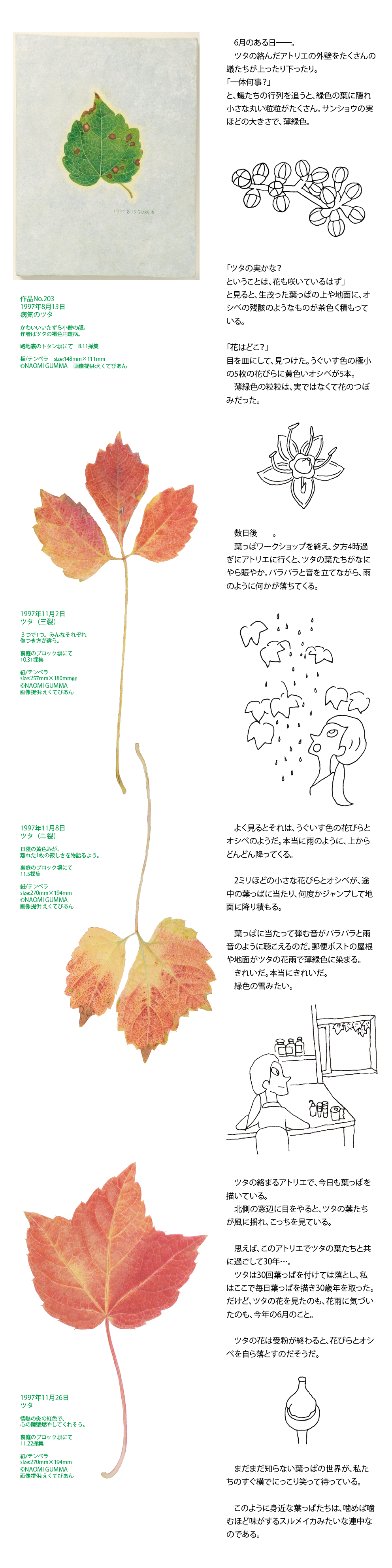 葉画家・群馬直美さんのアートコラム Second season 第5回イメージ1