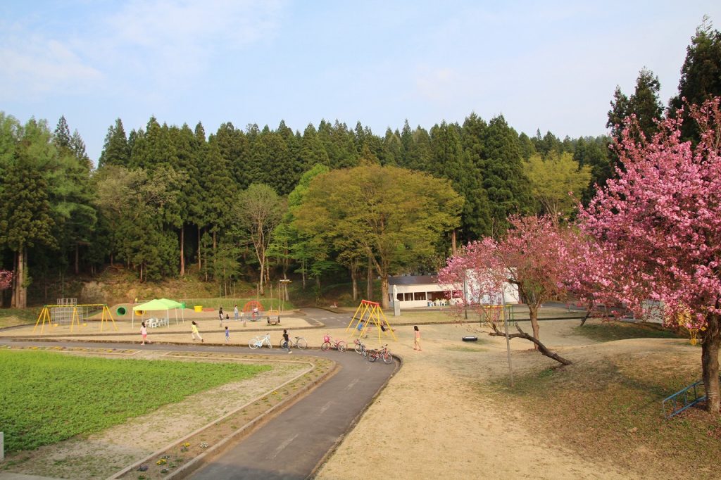 福原さんの仕事場から見える桂公園