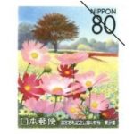 東京の四季の花・木コレクション　国営昭和記念公園の秋桜　平成18年10月2日発行