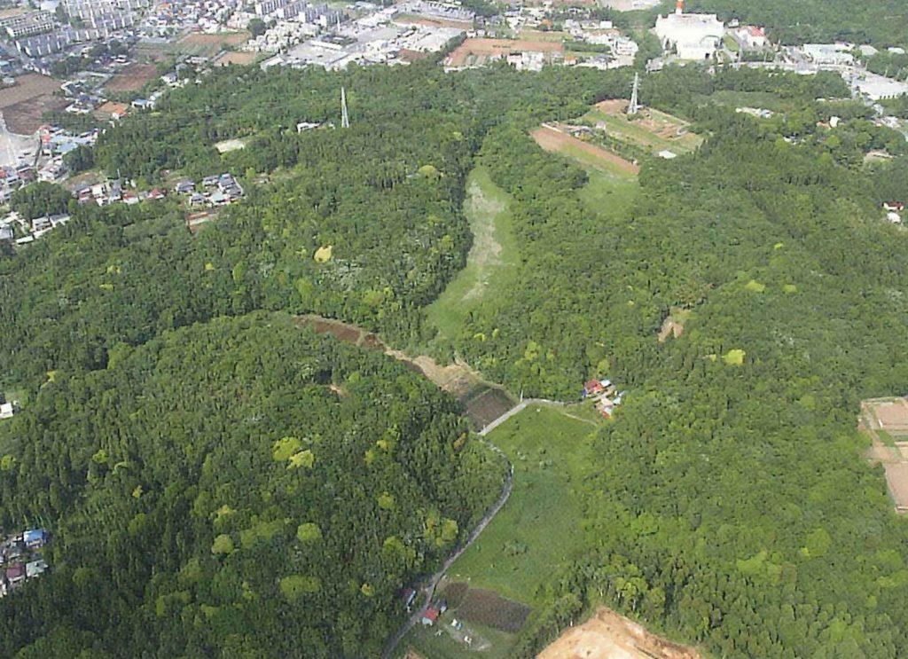 みゆちゃんが訪れた里山（イメージ）