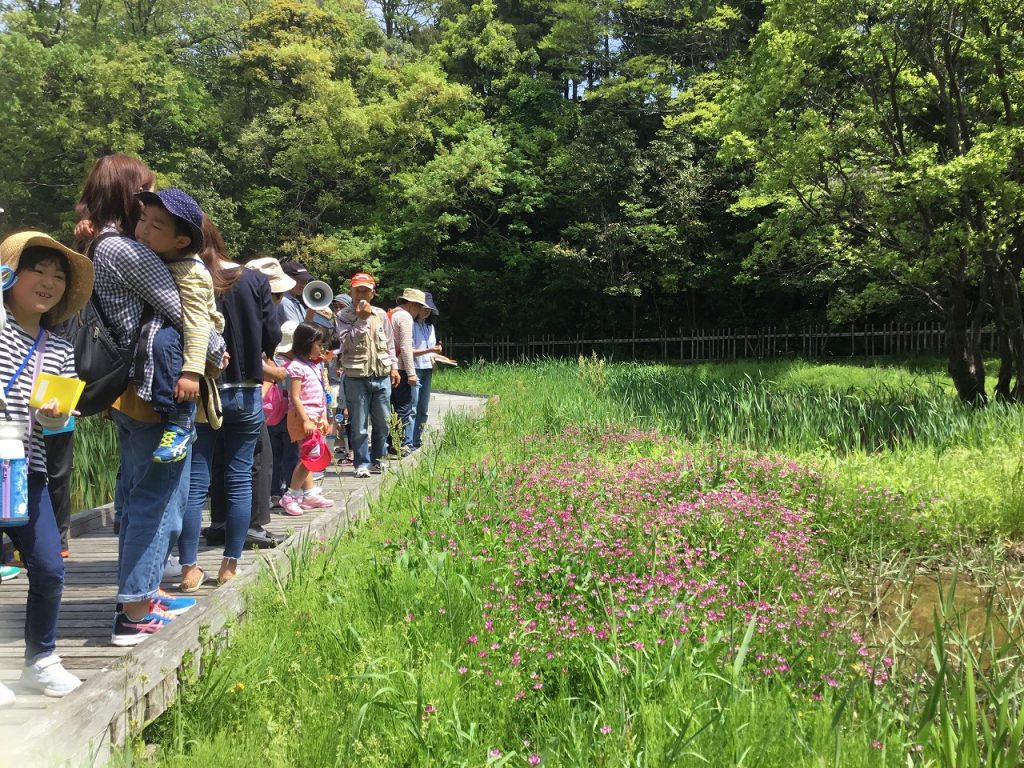 「親しむ会」が担当する植物観察会