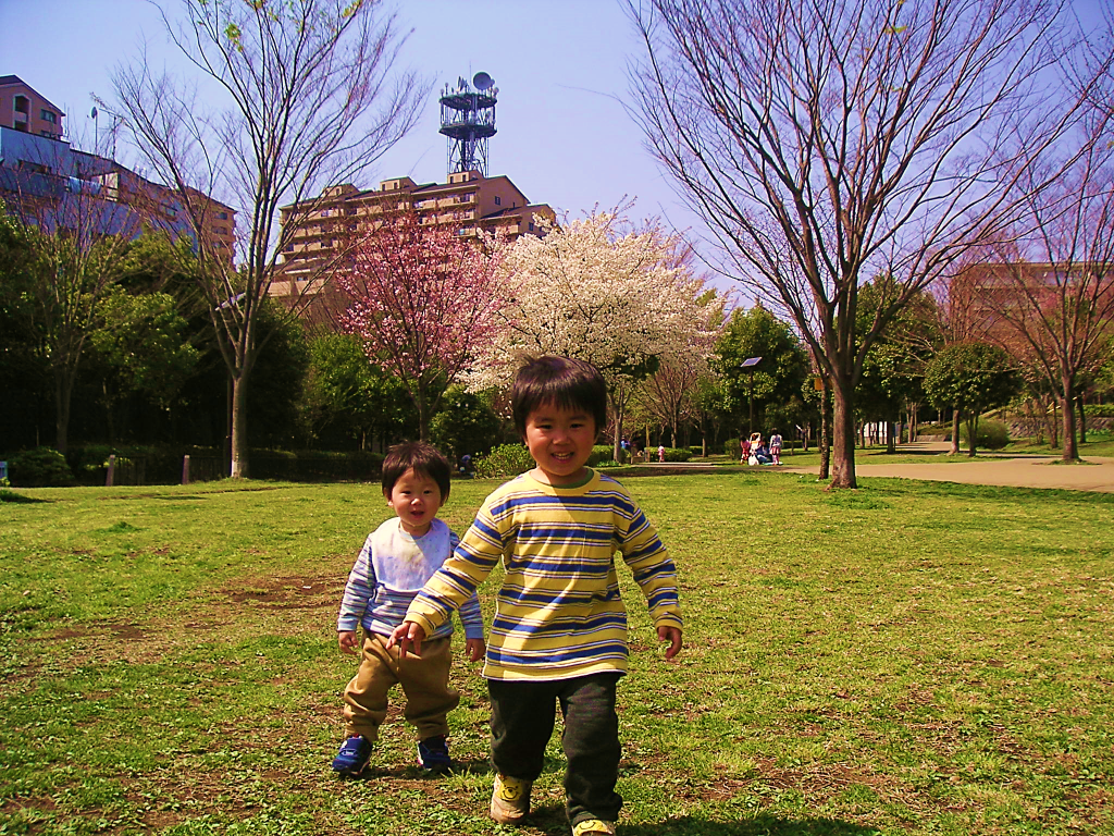 写真２　小さい子どもも安心して緑道をお散歩（１６年前の港北ニ ュータウン）