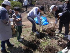 2014年3月に実施したワークショップでは、地元の造園会社の協力で植樹した