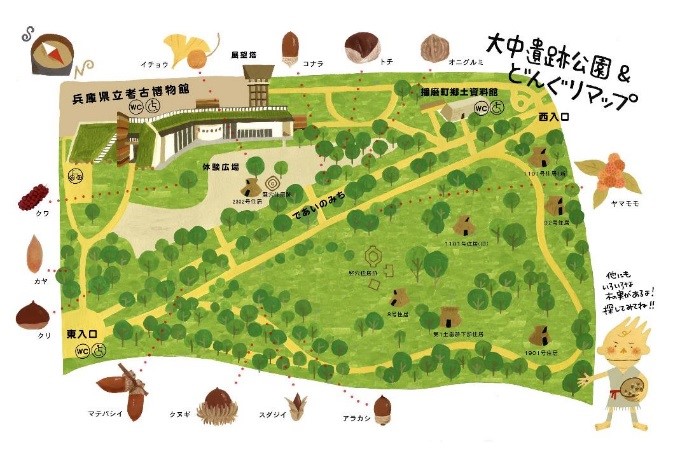 植栽されているドングリを紹介するマップは、<br/>イラストレーターの井上リエ氏の協力を得て作製した
