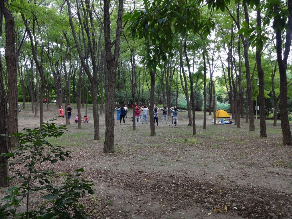 太極拳などを実施しており、一見すると普通の公園と変わりない