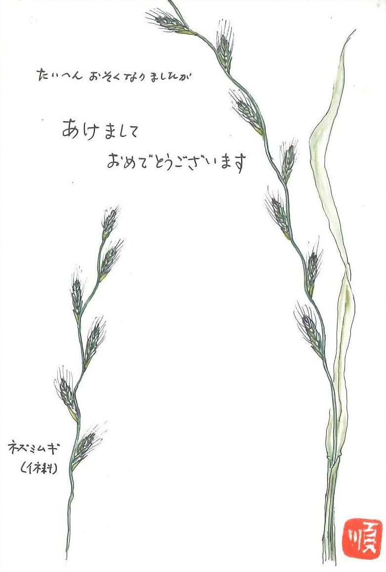 みどり花コラム 一般財団法人 公園財団 みどり花コラム 一般財団法人 公園財団