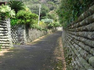 流人が一つ一つ海岸から運んだ石で積み上げたという玉石垣