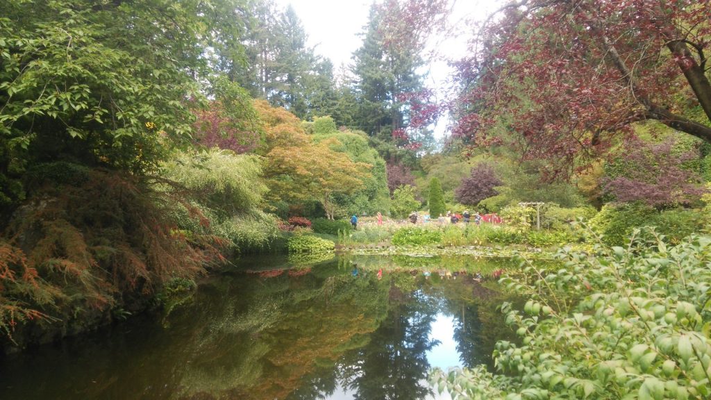 サンクンガーデンの一角にある池は、採掘場跡地を利用して作られた