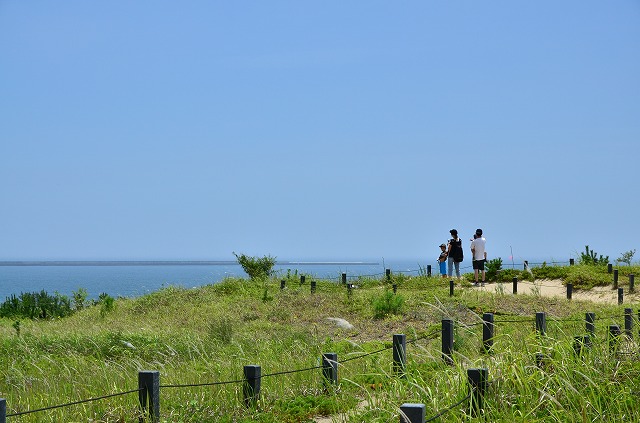 国営ひたち海浜公園　砂丘エリア