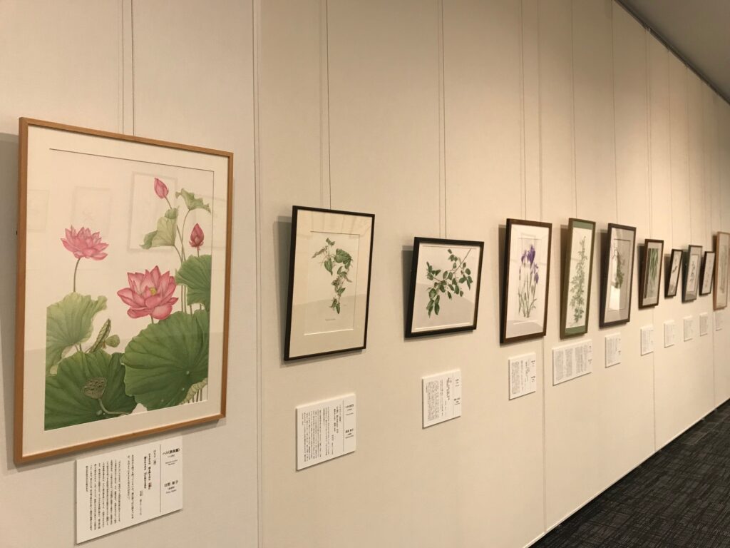 展覧会場の状況（平城宮跡歴史公園）