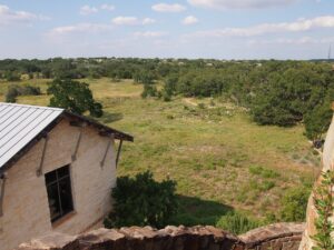 ブラブラと歩いたテキサスの郊外に広がる自然地