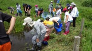 安曇野市自然観察会「国営アルプスあづみの公園で水の中に暮らす生きものたちの世界をのぞいてみよう」<br/>の開催（2021年8月）