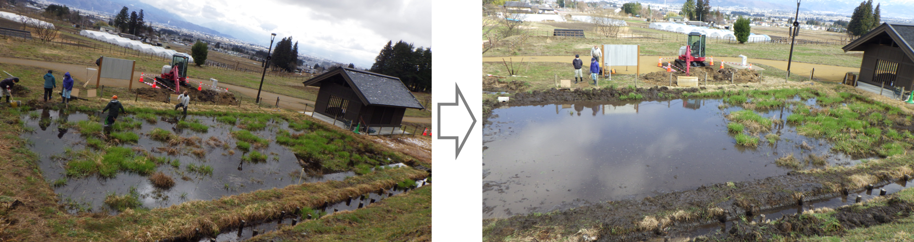 伐根除草前後の様子(2022年3月20日)