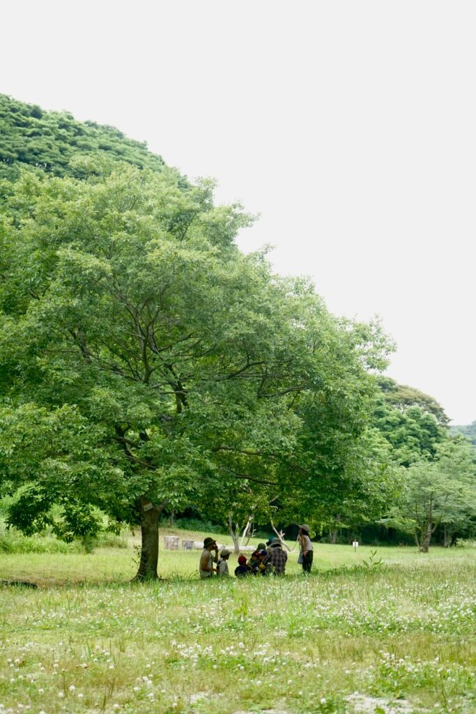 木陰でゆっくり過ごせる山田緑地