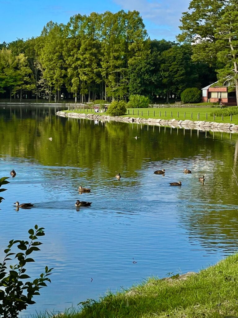 次世代に残したい公園風景