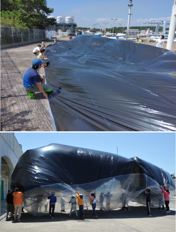 シロナガスクジラ実物大