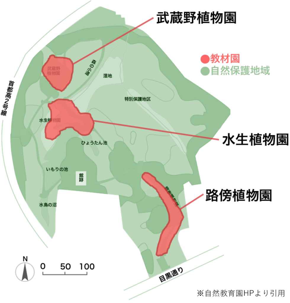 自然教育園の園内マップ