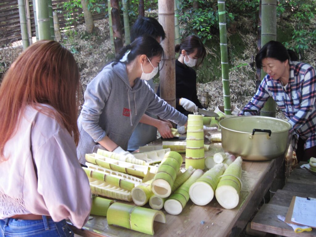 “美味しく食べて竹林整備”<br/>幼竹を使ったメンマづくり