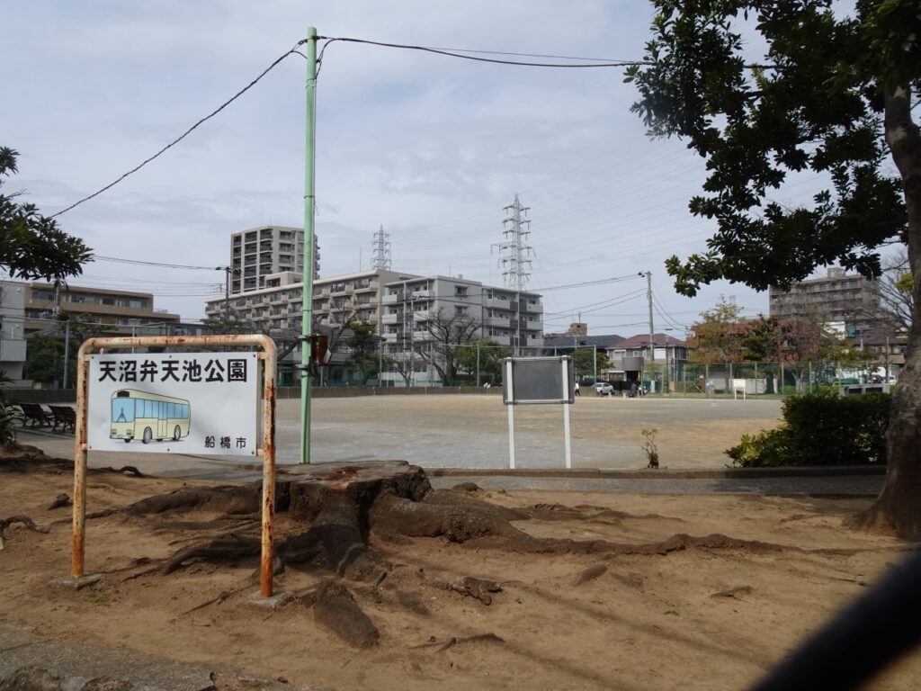 ボール遊びができる公園：<br/>天沼弁天池公園（街区公園）