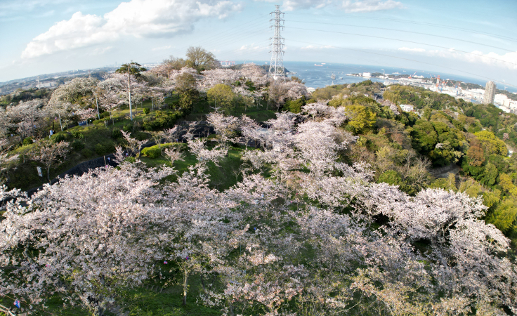 塚山公園