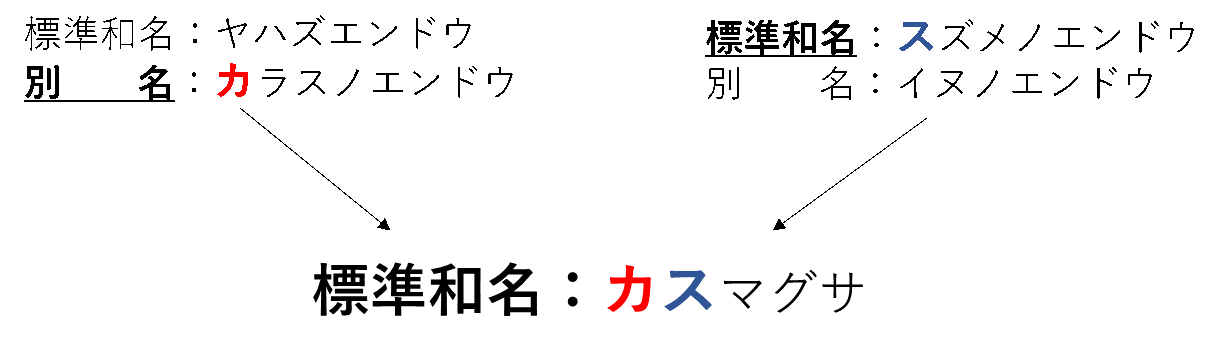 カスマグサの名前由来