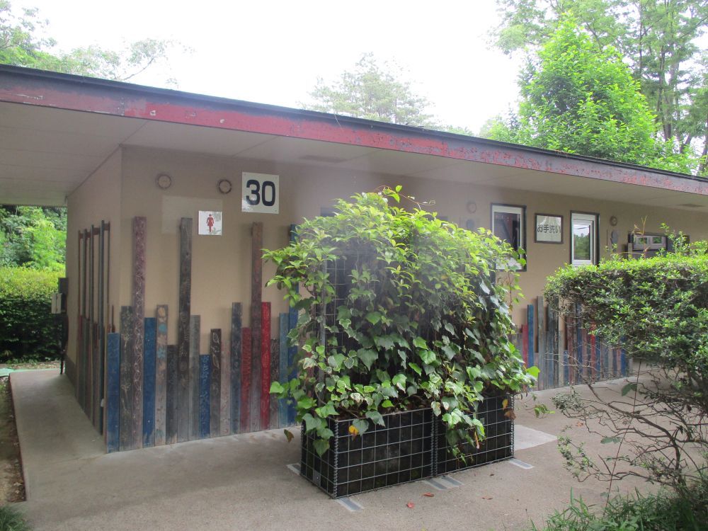 2025年　現在の様子　