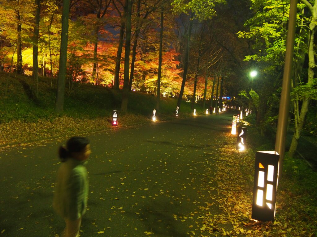 都市緑化植物園までの園路に等間隔に配置