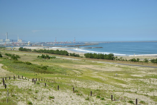 多くの参加者が「お気に入り」として挙げた砂丘エリア。植物や景観の素晴らしさが語られた