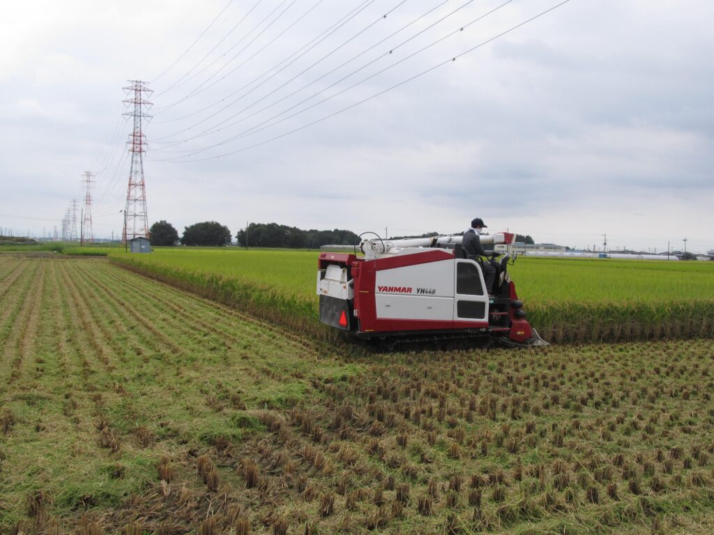 稲刈り風景