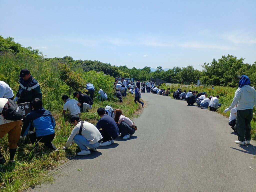 企業・団体ボランティア　活動状況