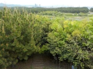 開園前（平成21（2009）年）