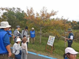 どんぐり探検隊