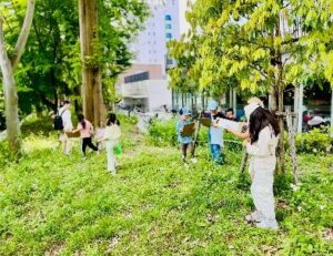 野外で観察会を開催