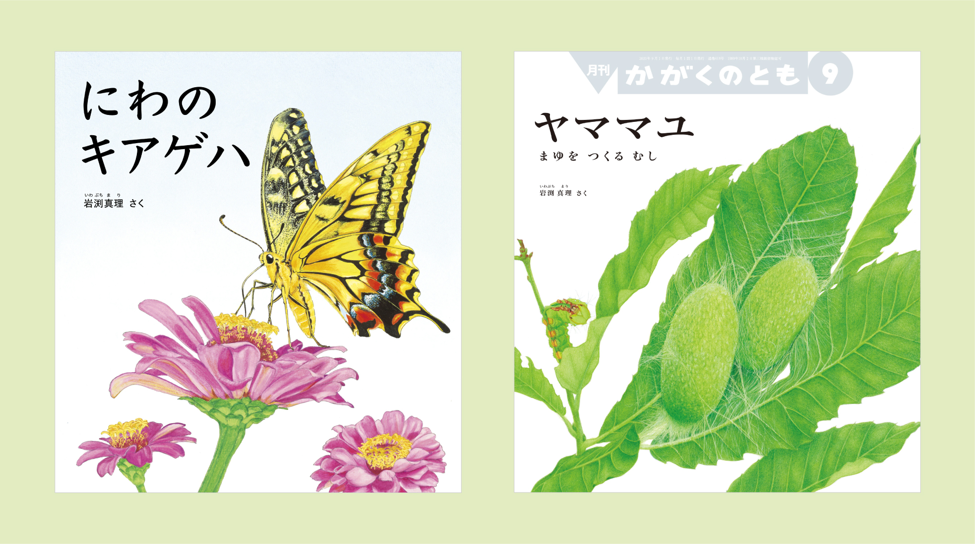 絵本『にわのキアゲハ』と『ヤママユ』（福音館書店「がかくのとも」）