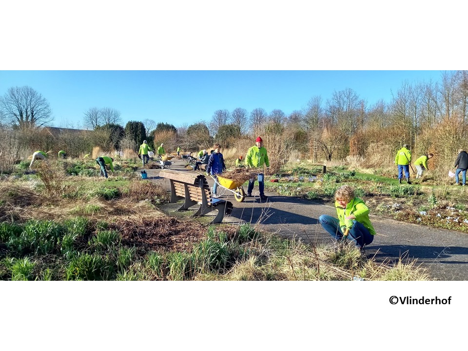 新シーズンに向けて切り戻し作業を行うフリンダーホフのボランティア<br/>（2月末～3月初）