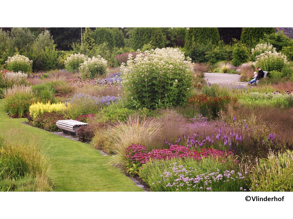 多年草を中心として植栽されているフリンダーホフ <br/>（全体面積：約5,000㎡。そのうち、1,750㎡が多年草の植栽面積）