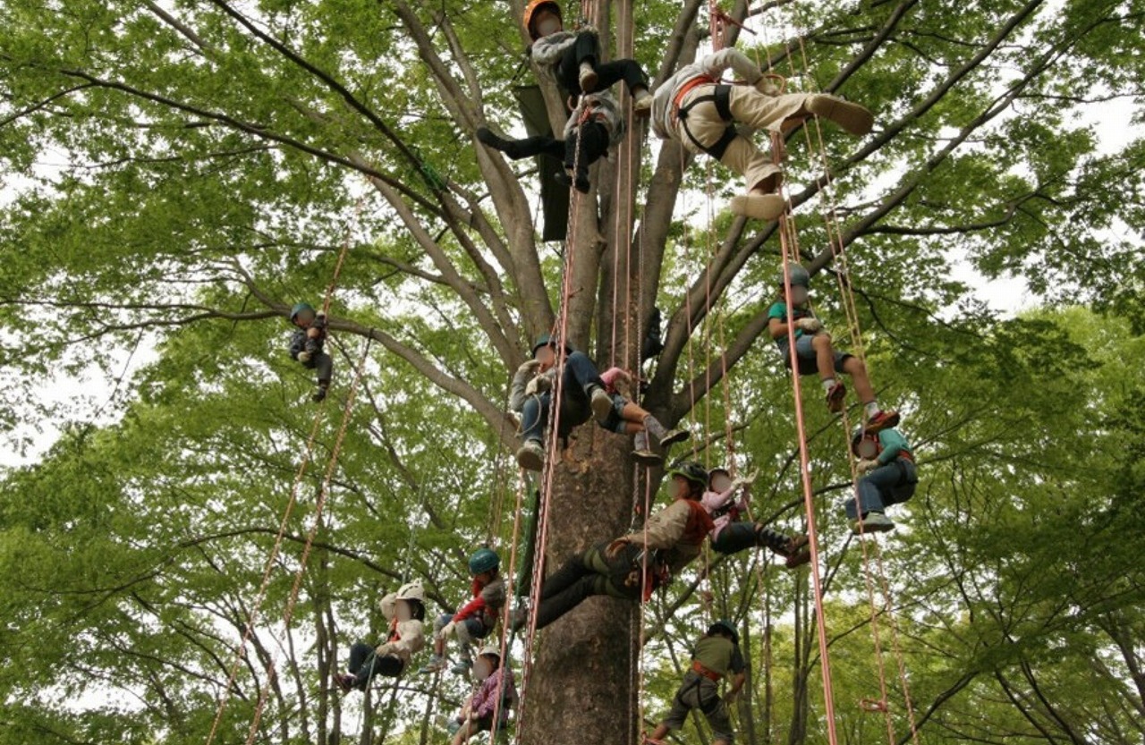 ロープで木登りをしてみよう～ツリーイング教室～<br /><br /> （提供：国営武蔵丘陵森林公園）