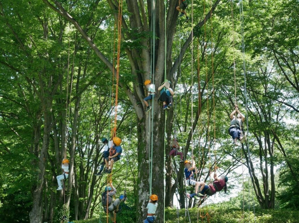 南口でのツリーイング教室<br/>（提供：国営武蔵丘陵森林公園）