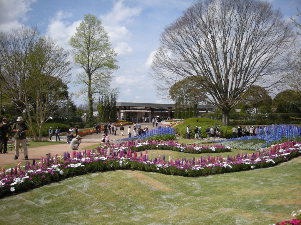 早春の「兵庫県立フラワーセンター」