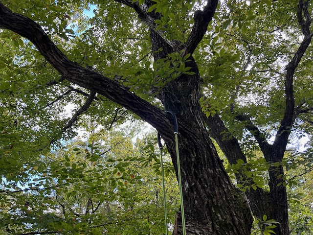 ロープスリーブ