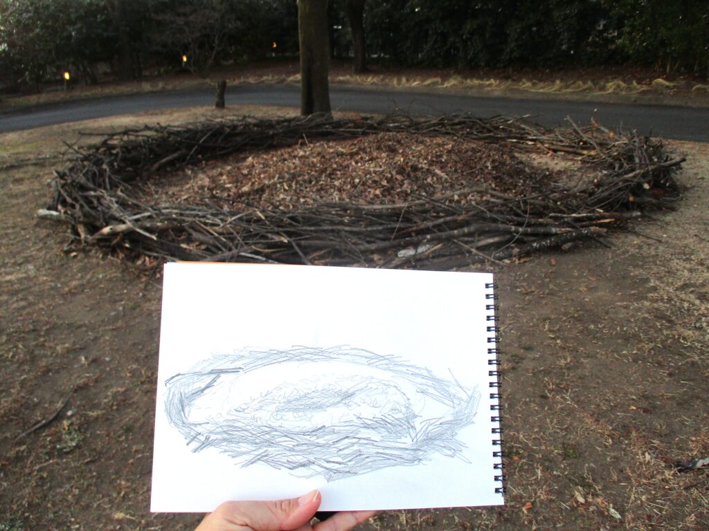 ぐんまフラワーパークプラスにてバイオネストをスケッチ